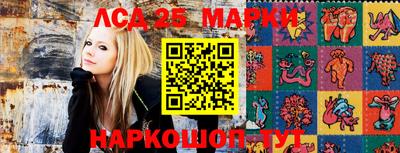 спиды Бердск