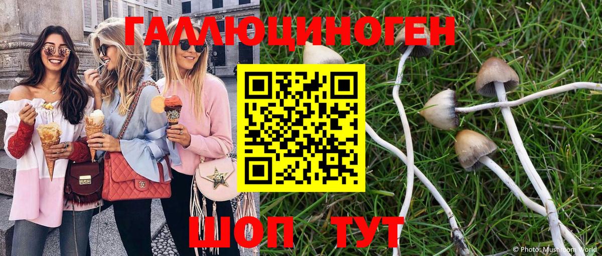 Псилоцибиновые грибы мухоморы  Вход с VPN  Дубна 